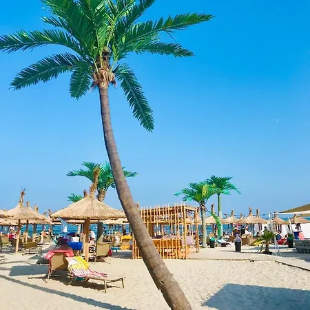 Anias Front View Of The Black Sea 14b 那沃达利