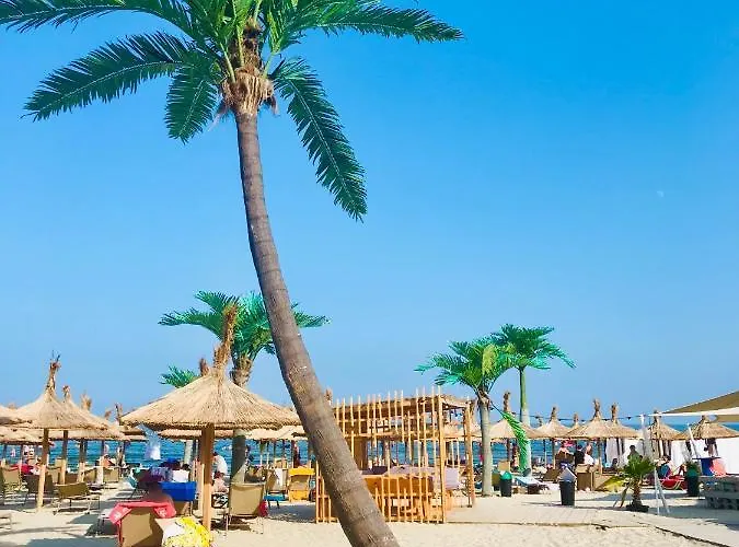 Anias Front View Of The Black Sea 14b 那沃达利